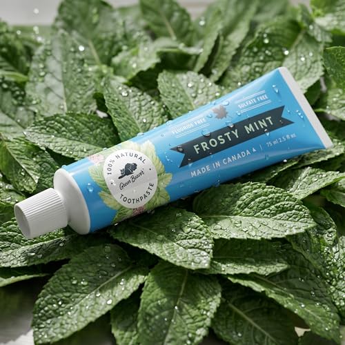 Frosty Mint Natural Organic Vegan Toothpaste - Fluoride & Gluten Free, 75ml, 3 Pack