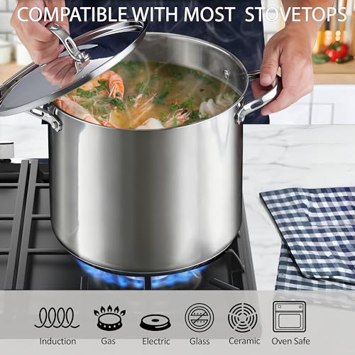 Cooks Standard 12 Quart Stainless Steel Stock Pot with Lid - Large Capacity