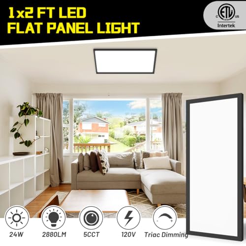 LED Flat Panel Light 2-Pack 24W Dimmable Surface Mount Ceiling Lights 5CCT