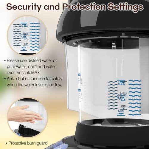 Kingsteam Black 2-in-1 Hair & Facial Steamer with Ozone, Portable & Safe