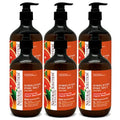 Natural Solution Hand Wash - Moisturizing Blood Orange & Himalayan Pink Salt Liquid Soap - 14 oz (Pack of 6) | Hydrating & Gentle Formula | Ideal for Daily Use packaging may vary