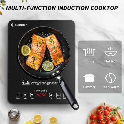 Portable Induction Cooktop 1800W with 20 Power & Temperature Levels