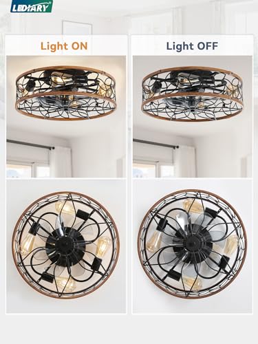 LEDIARY Walnut and Black Caged Ceiling Fan with Light - Flush Mount with Remote - Medium Variation