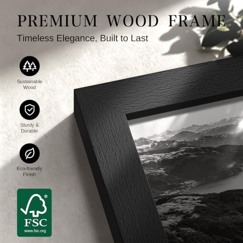 VCK 24x36 Poster Frame Black Wood Wall Display - 1 Pack, Variation: Black / 24 x 36 / 1 Pack