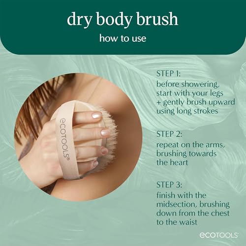 EcoTools Dry Body Brush 4-Pack ? Exfoliating Body Scrubber for Dead Skin Removal, Cellulite Massage, Circulation