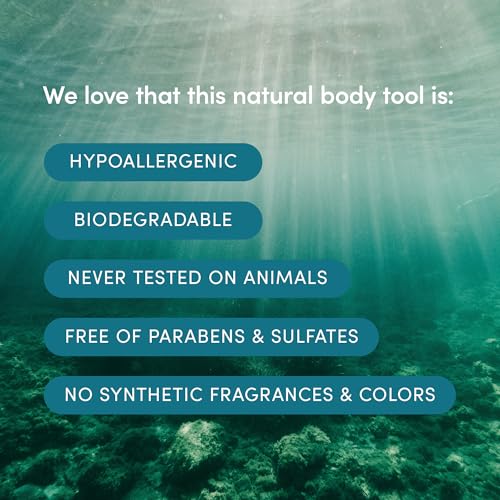 LATHER Natural Sea Wool Sponge (5-6 in) Large Exfoliating Body Scrubber