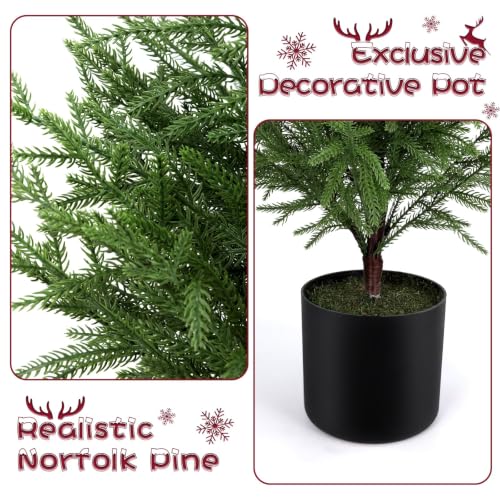 4FT Prelit Norfolk Pine Christmas Tree with 80 LED Lights - Battery Operated, 1 Pack