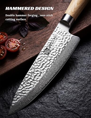 Japanese Chef Knife Set VG-10 Damascus Steel 67-Layers Professional Kitchen Knives