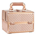 Rose Gold Makeup Case Organizer with Mirror - Travel Train Box & Storage