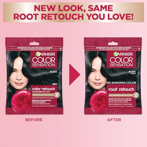 Hair Root Touch-Up Kit Black 6 Count - No Ammonia, Easy Application