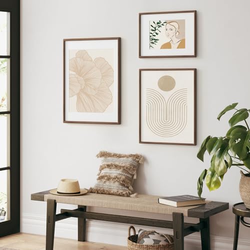 Walnut Wood Frame with Mat for 16x20 Photos - 18x24 Size with Tempered Glass - Variation of Walnut / 18x24 - 1P
