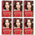Vegan Ammonia-Free Medium Brown Permanent Hair Dye Kit - Pack of 6
