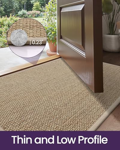 DEXI Ultra Thin Indoor Door Mat 36x56 Beige Non Slip Entrance Rug