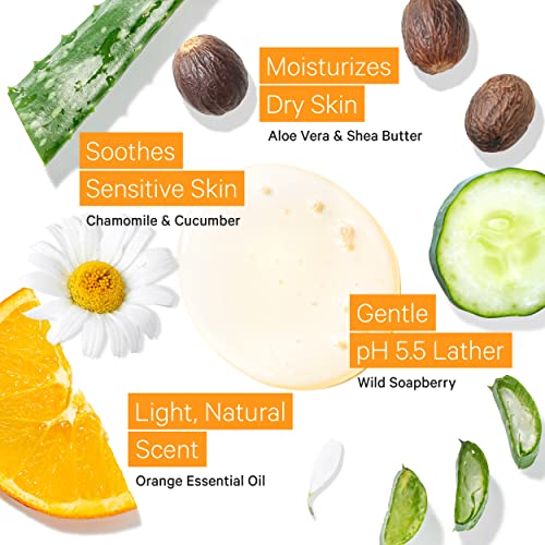 Tree to Tub Citrus Body Wash for Dry Skin Sensitive Skin & Shea Butter Hand Cream for Dry Cracked Hands - pH Balanced Moisturizing Body Wash & Moisturizing Sensitive Skin Hand Lotion for Women & Men