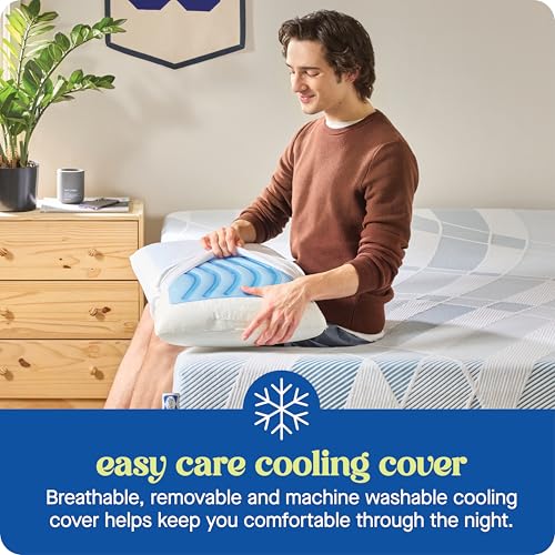 Sealy Dreamlife King Size Cooling Gel Memory Foam Pillow with Washable Cover