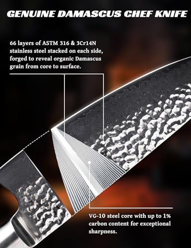 Japanese Chef Knife Set VG-10 Damascus Steel 67-Layers Professional Kitchen Knives