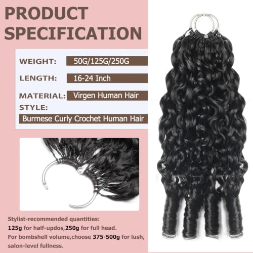 ShowCoco 16 Inch Burmese Curly Crochet Human Hair Extensions 40 Strands 50g Pre-Separated