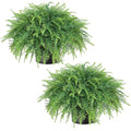 Artificial Boston Fern Plants Set for Front Porch Decor - Green, 17 Inch