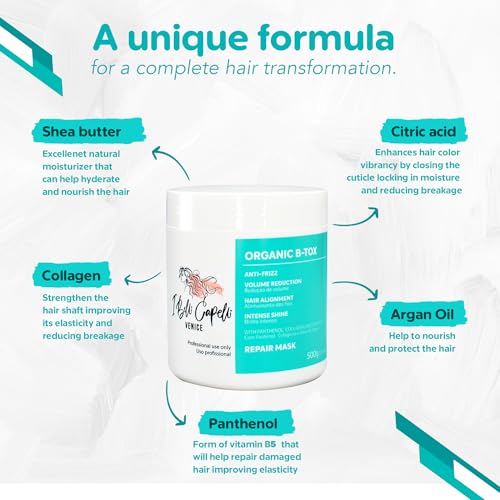Organic Hair B-Tox Deep Repair Treatment for Damaged & Frizzy Hair