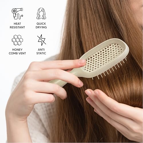 Detangler Hair Brush Set - 4PK for Curly, Thick, Wavy & Thin Hair with Ventilation Holes