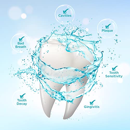 Everest Oral Care Alcohol-Free Mint Mouthwash 20 Fl Oz Pack of 1 – Fresh Breath & Gum Health