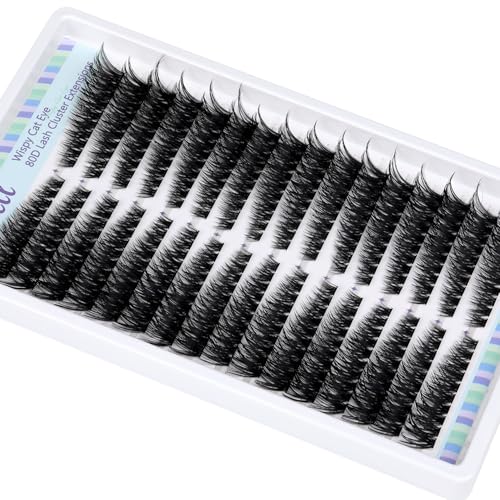 Lash Clusters 320 Pcs Individual Lashes Clusters 7-16 MM Cat Eye Wispy Eyelash Clusters D Curve 80D Cluster Eyelash Extensions Easy DIY Lash Extension at Home