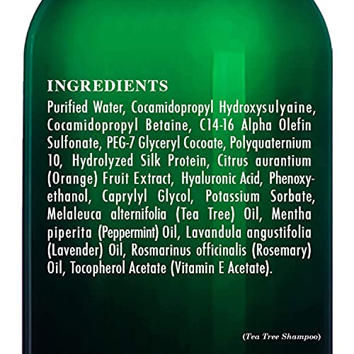 Tea Tree Shampoo & Conditioner Set for Dry Scalp - 16 oz Bundle