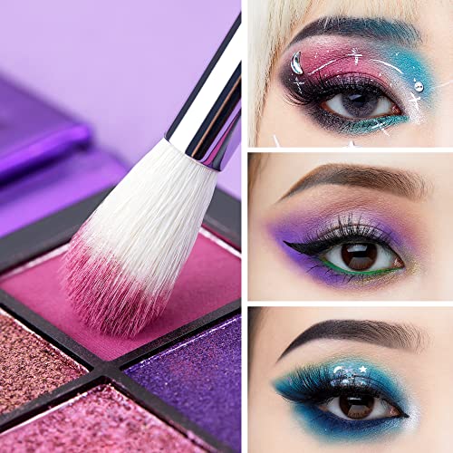 Jessup 15PCS Pro Eye Makeup Brush Set Black/Silver T177 with Makeup Brushes Cleansing Mat A005