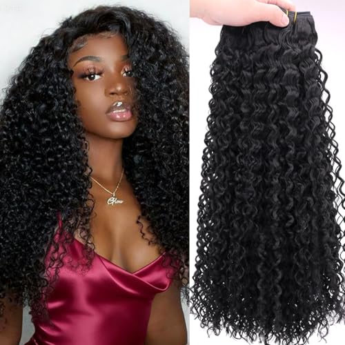 REYNA 24 Inch Afro Kinky Curly Synthetic Hair Extensions - 3 Bundles, Natural Black, Model 1B#