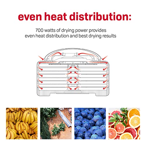 Square Food Dehydrator for Snacks, Fruit, Jerky - 4 Tray, Expandable Variation of THIS listing