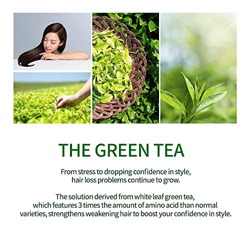 AMOS PROFESSIONAL Green Tea Shampoo for Oily Scalp, Anti-Hair Loss 17.6oz | Korean Salon Brand
