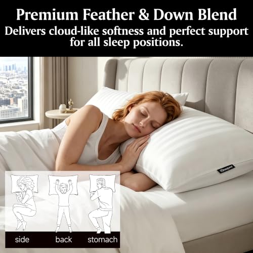 White Queen Size Feather and Down Pillow Set of 2 - Luxury Hotel Comfort