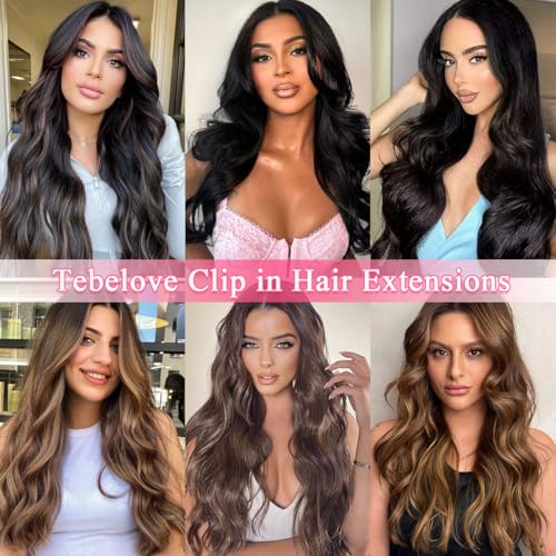 Clip in Hair Extensions 14 Inch 100% Human Remy Hair Jet Black 3.2oz - Salon Quality