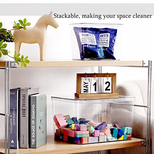 Stackable Food Storage Bins Set 3 XL + 2 Medium Transparent Plastic Organizers