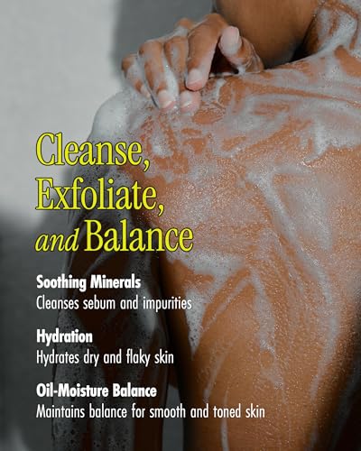 Boryeong Mud Body Wash & Exfoliating Scrub - Hydrating 16.9 fl oz