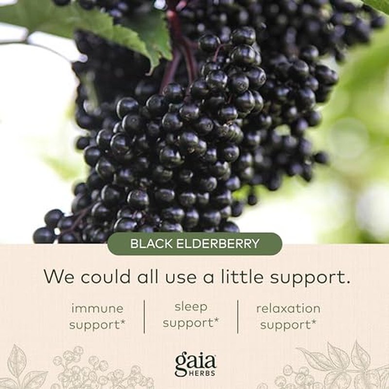 Gaia Herbs Black Elderberry, Nighttime Syrup - Immune Support Supplement - with Organic Black Elderberries, California Poppy & Lemon Balm for Restful Sleep & Immune Defense - 3 Fl Oz (18-Day Supply)