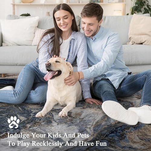 Blue and Gold Abstract Rug 9x12 Washable Area Rug for Living Room - Pet Friendly, Non-Slip Backing