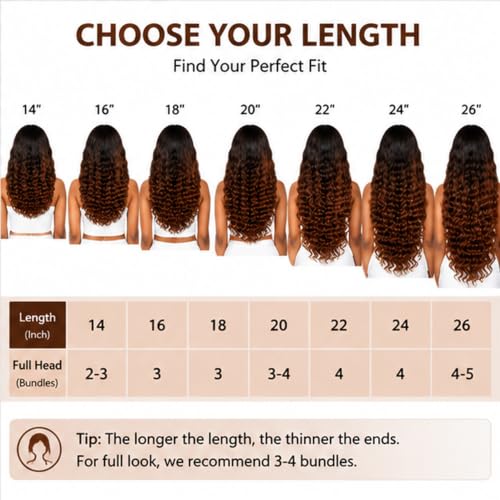 Biliisyff Ombre Deep Wave Human Hair Bundles 8-12 Inch T1B/30 Brown Variation