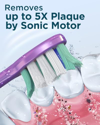 Electric Toothbrush for Adults & Kids - Sonic Clean & Whitening, 8 Heads, Travel Case - Purple