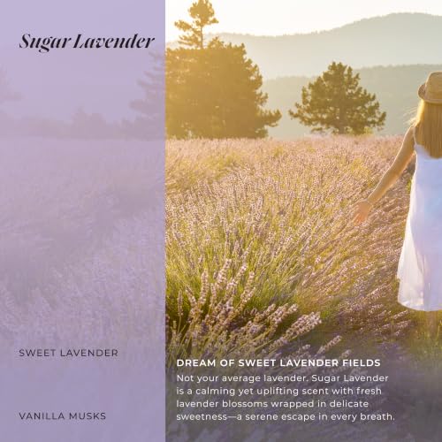 Sugar Lavender Shower Oil & Bubble Bath - 10 Fl Oz Moisturizing Body Wash with Probiotics & GrapeSeed Oil - Multi-Use Cleanser for Shower, Bath & Shaving
