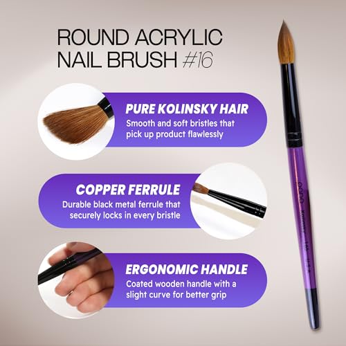 Nail Art Brush - Purple Wood Handle, Size 16, High-Quality Kolinsky Hair