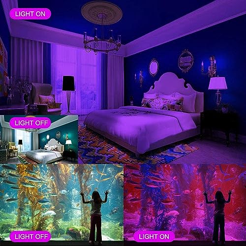 300W Black Light Flood Light 2 Pack IP66 Waterproof Neon Party & Halloween