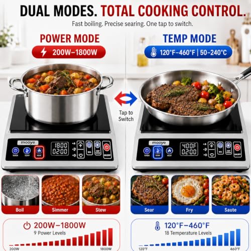 Portable Induction Cooktop - Max Power 1800W, 12-Hour Timer, Regular Variation