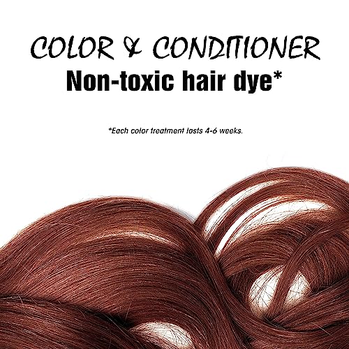 Organic Henna Hair Dye & Conditioner - Spicy Cinnamon Semi-Permanent Color, Chemical-Free, 4 Oz Pack of 3