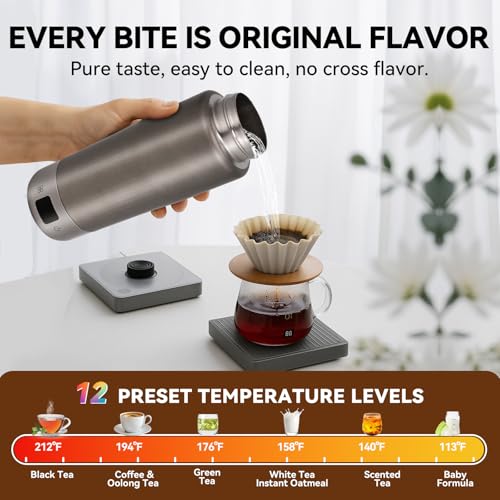 Travel Titanium Electric Kettle 380ML with 12 Temp Control Gray Gary Variation