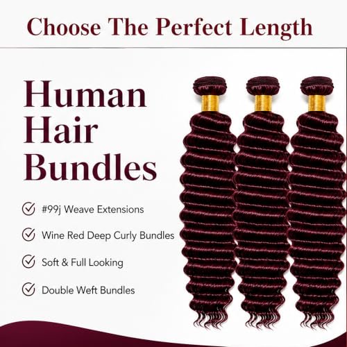 Burgundy Deep Wave Human Hair Bundles - 3 Pack 10/12/14 Inch - Burgundy #99J Variation D