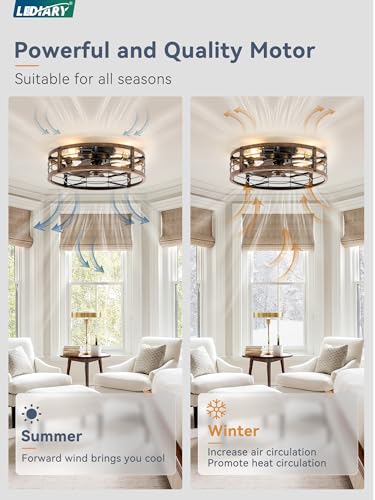LEDIARY 20-Inch Caged Low Profile Ceiling Fan with Light & Remote - Black & Gold