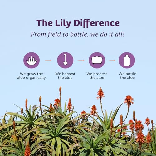 Unscented Aloe Vera Gelly 2-Pack - Soothing Face & Body Moisturizer, 12 Oz