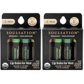 Organic Lip Balm Set for Men - 4 Flavors - 100% Natural Moisturizing for Cracked & Dry Lips (Pack of 2)