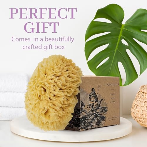 Sea Wool Sponge 5.5 Inch Natural Sea Sponge for Bathing & Exfoliation - Durable & Eco-Friendly Loofah